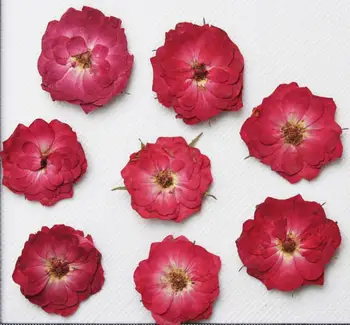 120 adet Preslenmiş Basın Kurutulmuş Gül Çiçek Dolgu Epoksi Reçine Kolye Kolye Takı Yapımı El Sanatları DIY Aksesuarları