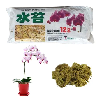 12L Sphagnum Yosun Nemlendirici Beslenme Organik Gübre Korumak Orkide Etli Bitki Kökleri DIY Saksı Bahçe İçin